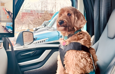 Volvo Trucks and the Center for Pet Safety released a free pet travel safety guide covering restraints, emergencies, weather, and other considerations for truck drivers traveling with pets.