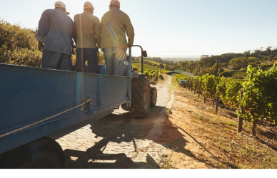 Learn how Kansas farm freight drivers can stay compliant with CFV exemptions, registration, size limits, permits, and safety laws. Includes details on hours of service, overweight permits, and securement rules.