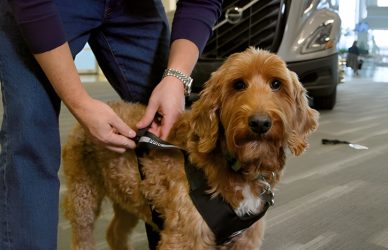 Volvo Trucks North America partners with the Center for Pet Safety to complete the first pet safety evaluation of a heavy-duty truck. The new Volvo VNL passes testing designed to protect dogs traveling with truck drivers on long haul routes.