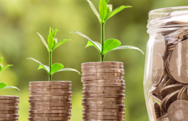 plants growing from coins