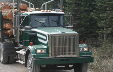 logging truck on road