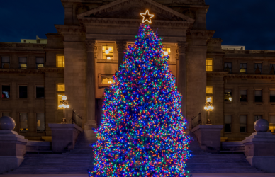 capitol christmas tree