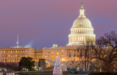 capitol christmas tree