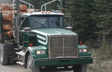 logging truck on road