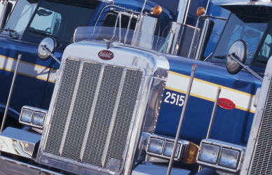 blue semi trucks parked in a row