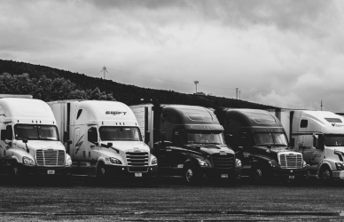 Semi trucks lined up and parked.