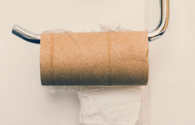 Empty toilet paper roll