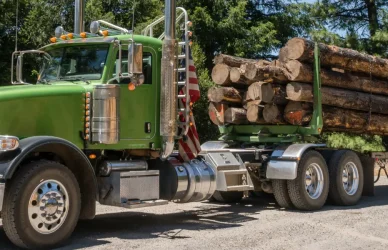 Logging truck with chained load of logs