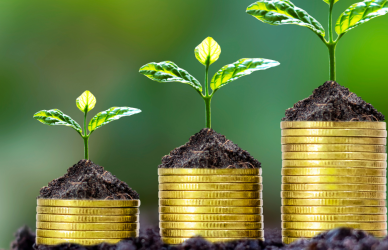 coins growing from the earther with plants coming out of the top of each increasingly large stack