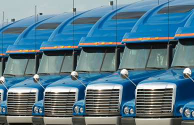 Line of blue semi trucks parked