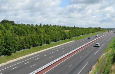 the top 10 states with the best roads for commercial drivers in the U.S. Based on driver feedback and federal data, these states offer smoother highways, lower congestion, and ongoing infrastructure investments for safer, more efficient travel.