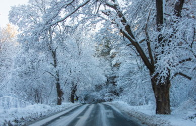 Kentucky temporarily lifts trucking restrictions to ensure the delivery of essential goods after a severe winter storm. Learn about key provisions and safety measures.