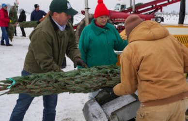 Discover how Wahmhoff Farms Nursery in Michigan hosted the heartwarming ‘Trees for Troops’ event, uniting the community to provide fresh Christmas trees to U.S. military families. Celebrate the holiday spirit with Michigan-grown trees and the dedicated efforts of volunteers and local organizations.